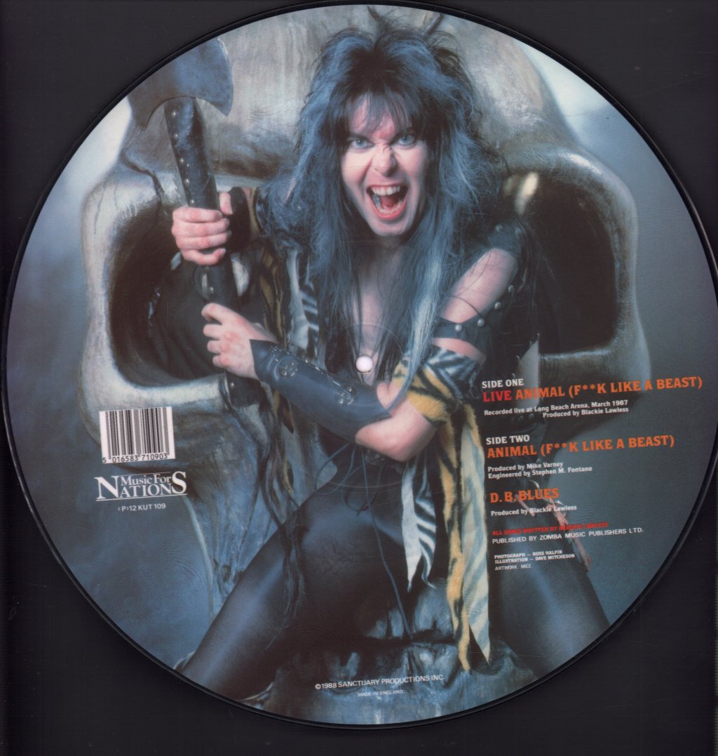 Wasp - Live Animal - 12 Inch