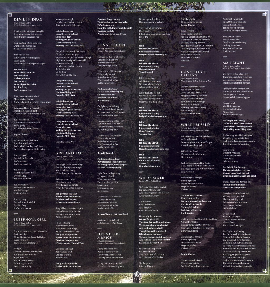 James Labrie - Beautiful Shade Of Grey - Lp