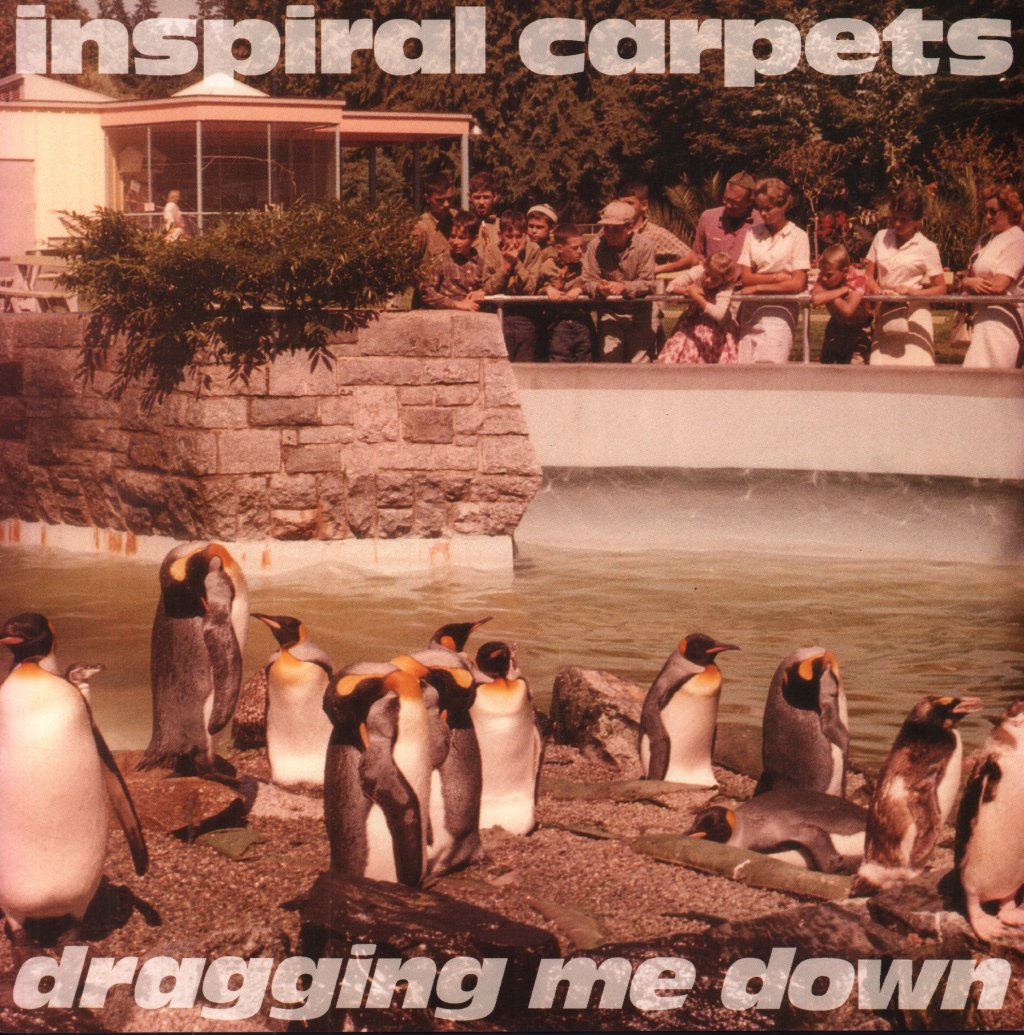 Inspiral Carpets - Dragging Me Down - 12 Inch