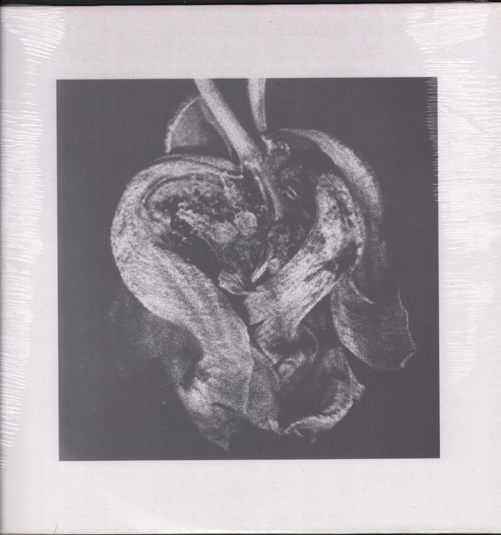 Hazylujah - How Can You Hide From What Never Goes Away? - 12 Inch