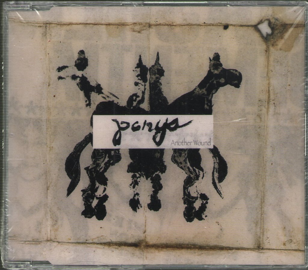 Ponys - Another Wound - Cd