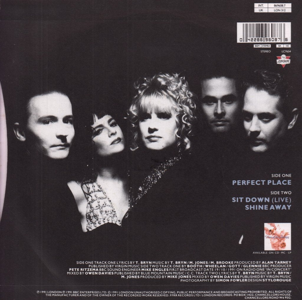 Voice Of The Beehive - Perfect Place - 7 Inch