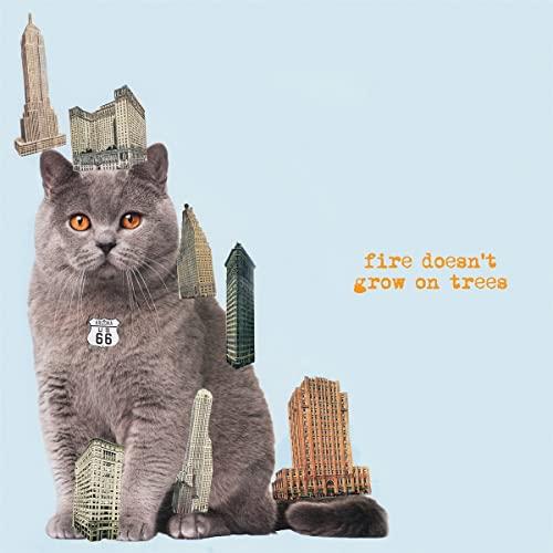 Brian Jonestown Massacre - Fire Doesn't Grow On Trees - Cd