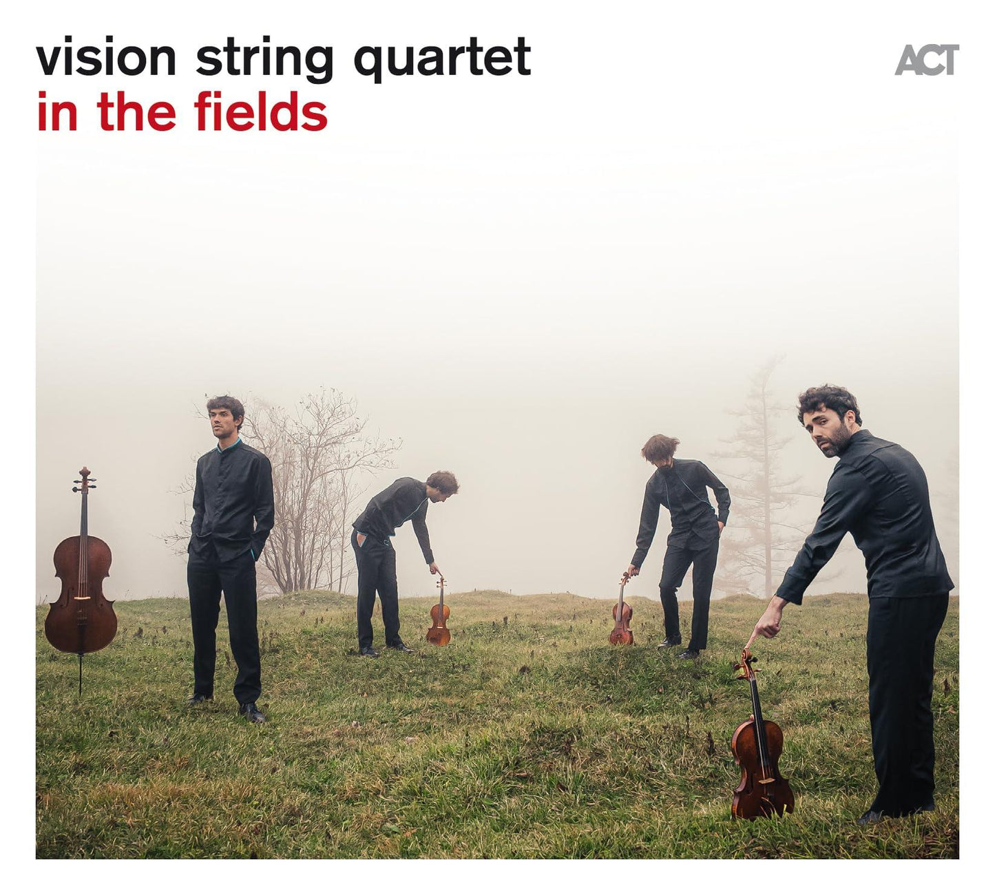 Vision String Quartet - Vision String Quartet: In the Fields - Cd