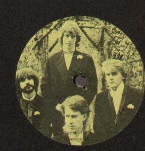 Hearts And Coronets - What I Really Want To Say - 7 Inch