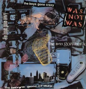 Was Not Was - Boy's Gone Crazy - 12 Inch