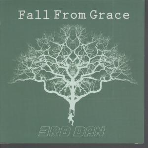 3Rd Dan - Fall From Grace - 7 Inch