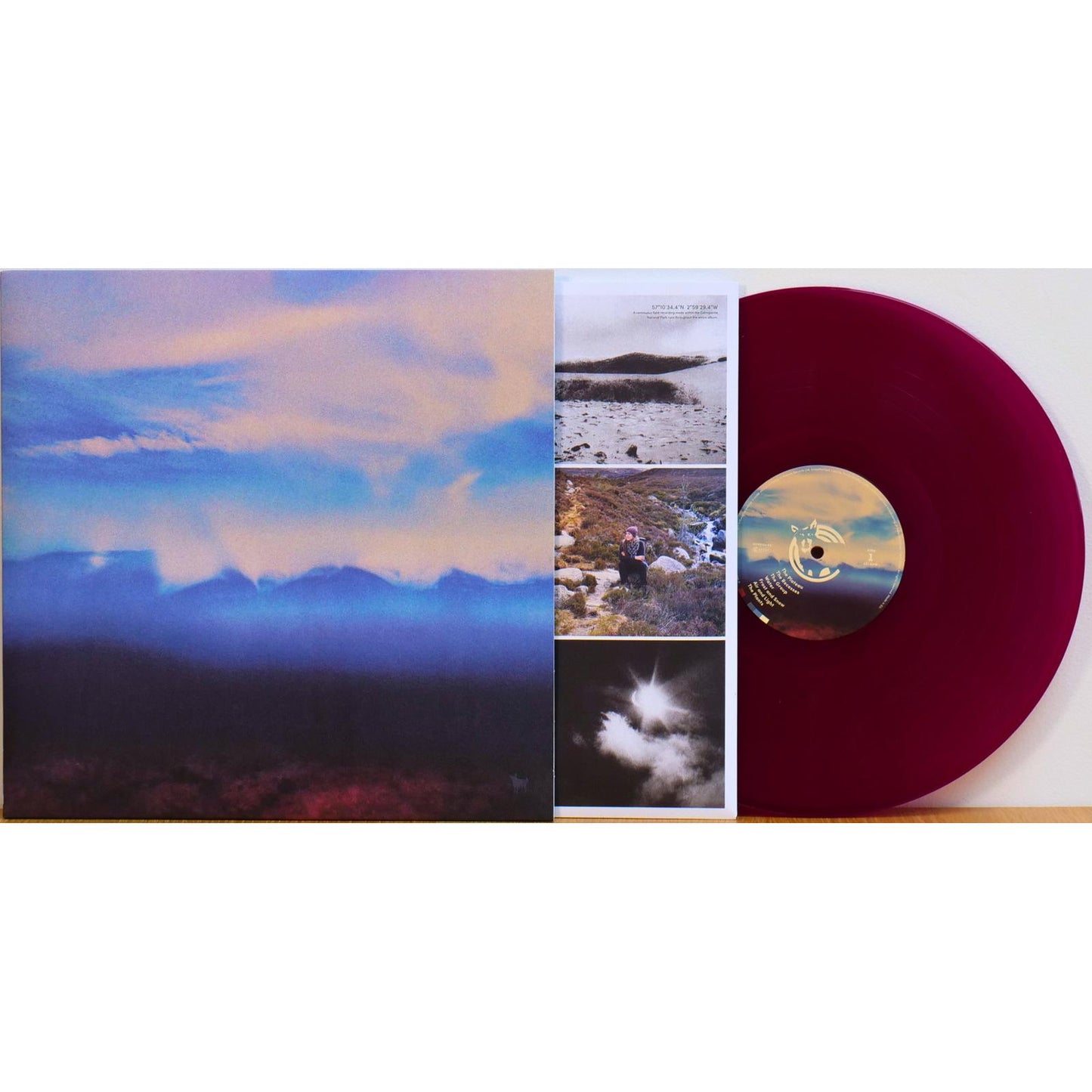 Jenny Sturgeon - Living Mountain - Lp