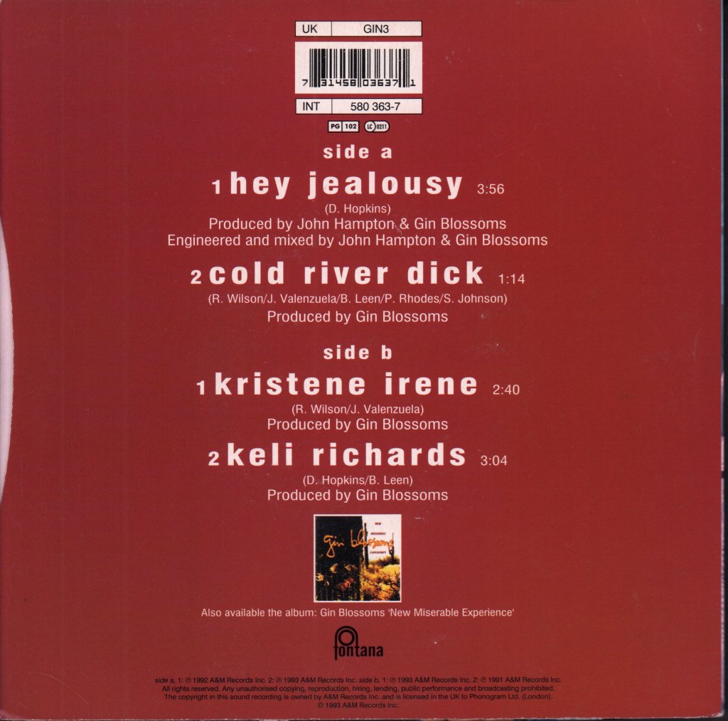 Gin Blossoms - Hey Jealousy - 7 Inch