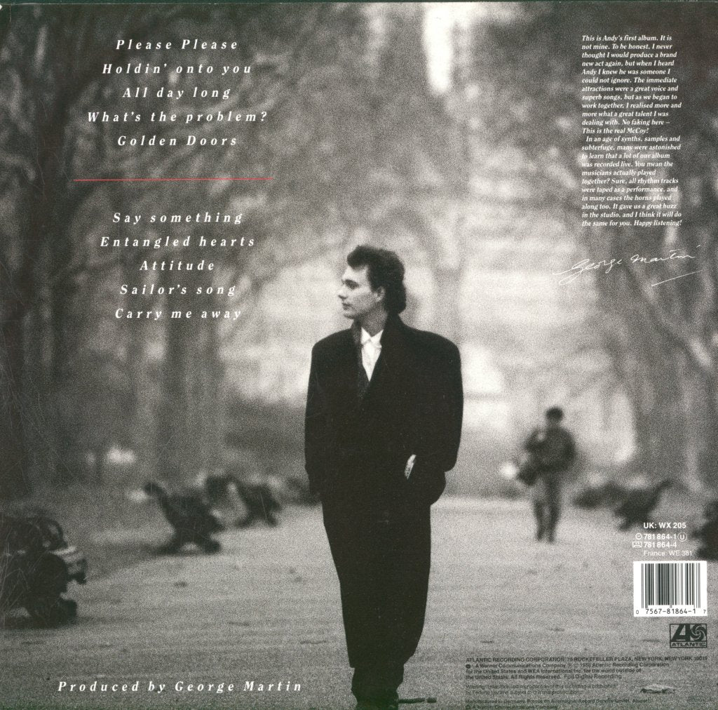 Andy Leek - Say Something - Lp