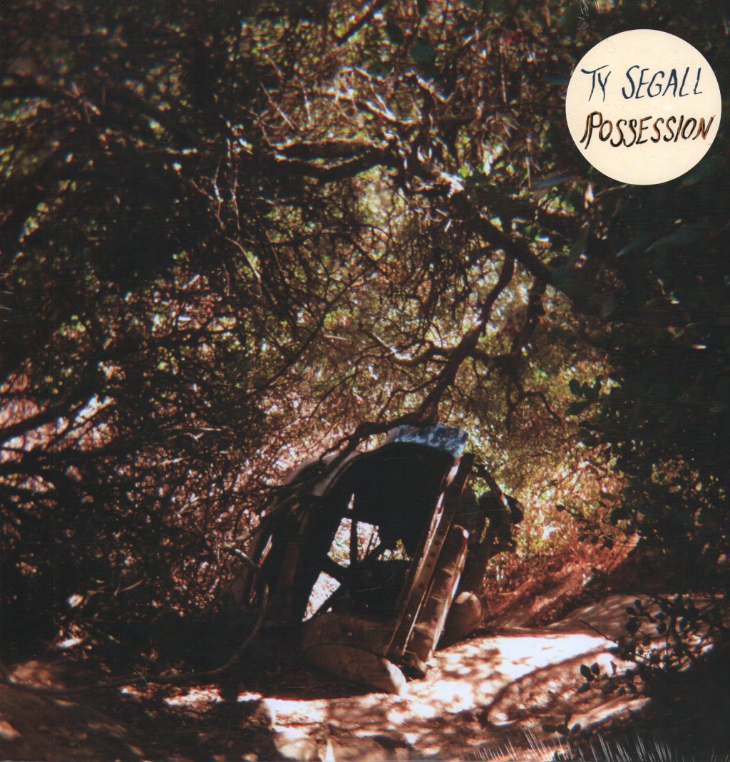 Ty Segall - Possession - Lp