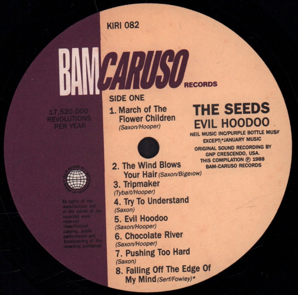 Seeds - Evil Hoodoo - Lp