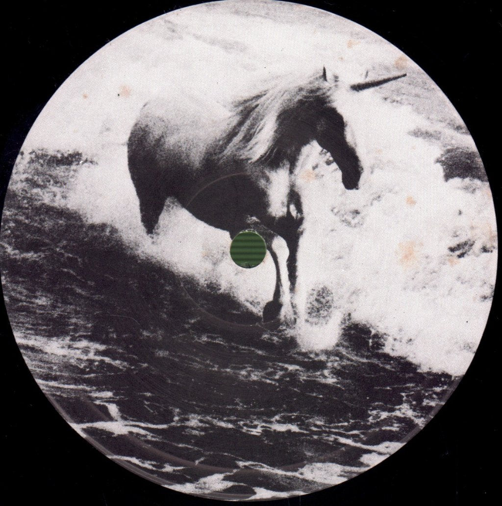 Waterboys - This Is The Sea - Lp