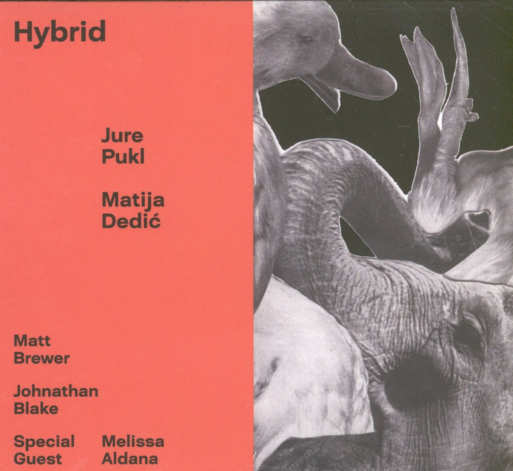 Jure Pukl and Matija Dedic - Hybrid - Cd