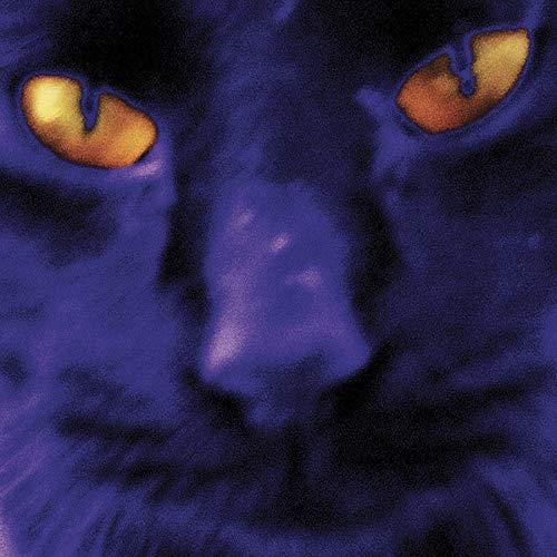 David Kilgour And The Heavy Eights - Bobbie's A Girl - Lp