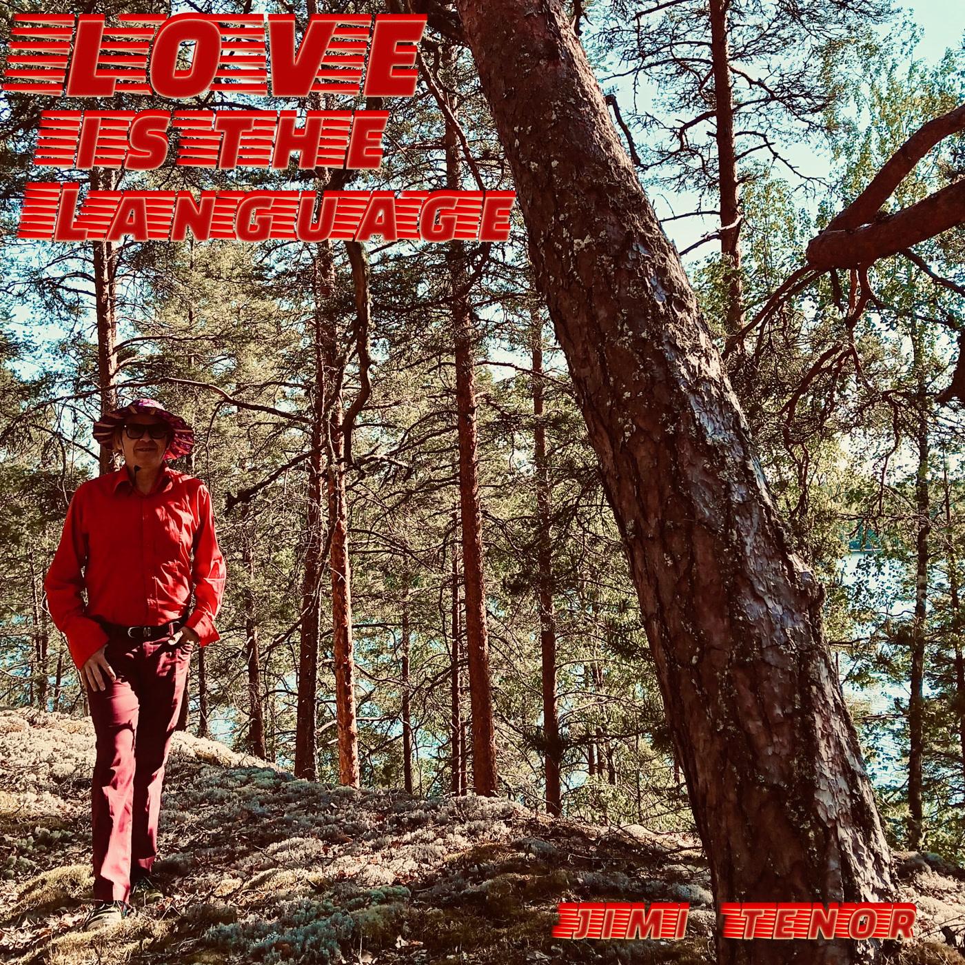 Jimi Tenor - Love Is the Language - 12 Inch