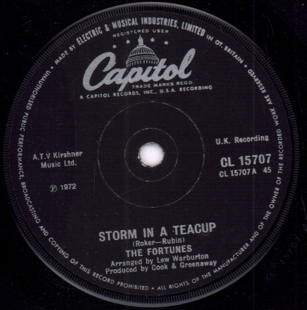 Fortunes - Storm In A Teacup - 7 Inch
