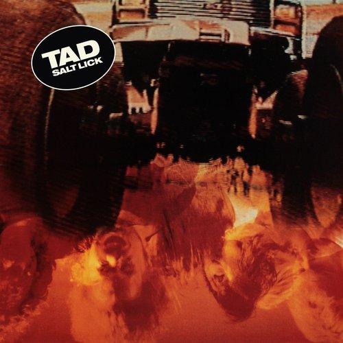 Tad - Salt Lick - Cd
