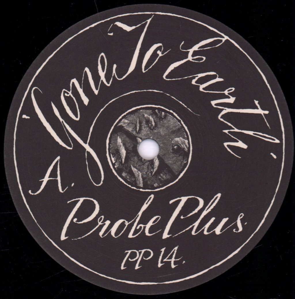 Gone To Earth - Dogs Went Out The Window - 12 Inch