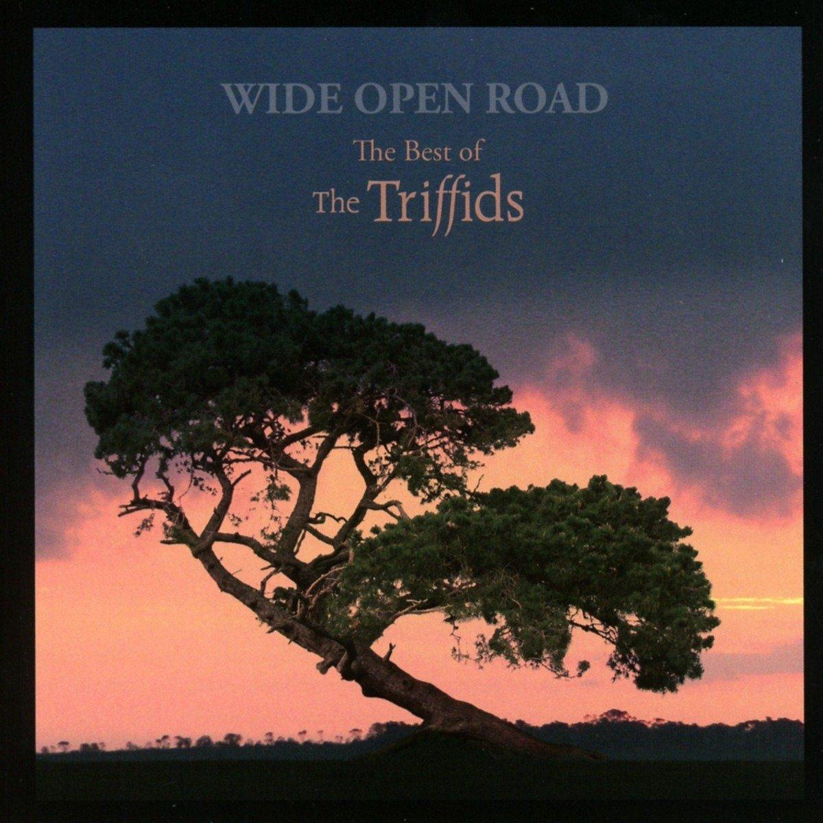 Triffids - Wide Open Road (The Best of the Triffids) - Cd