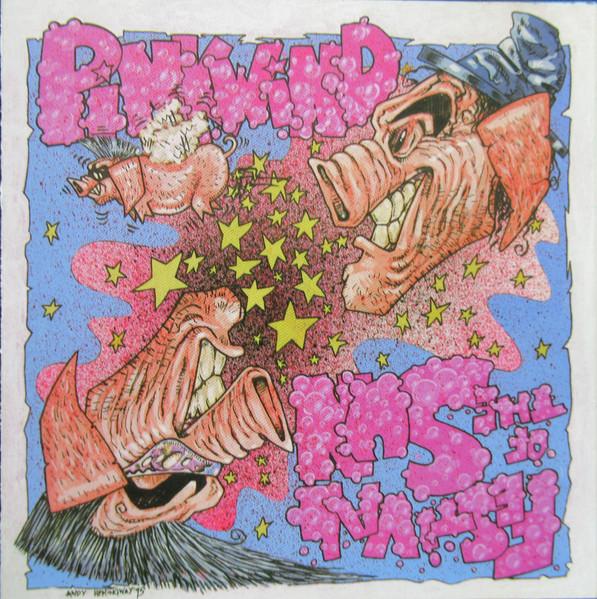 Pinkwind - Festival Of The Sun - Cd
