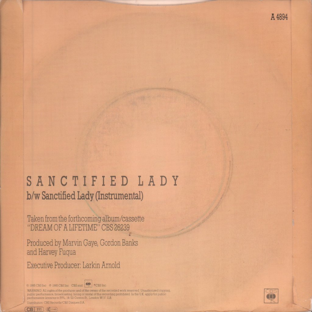 Marvin Gaye - Sanctified Lady - 7 Inch