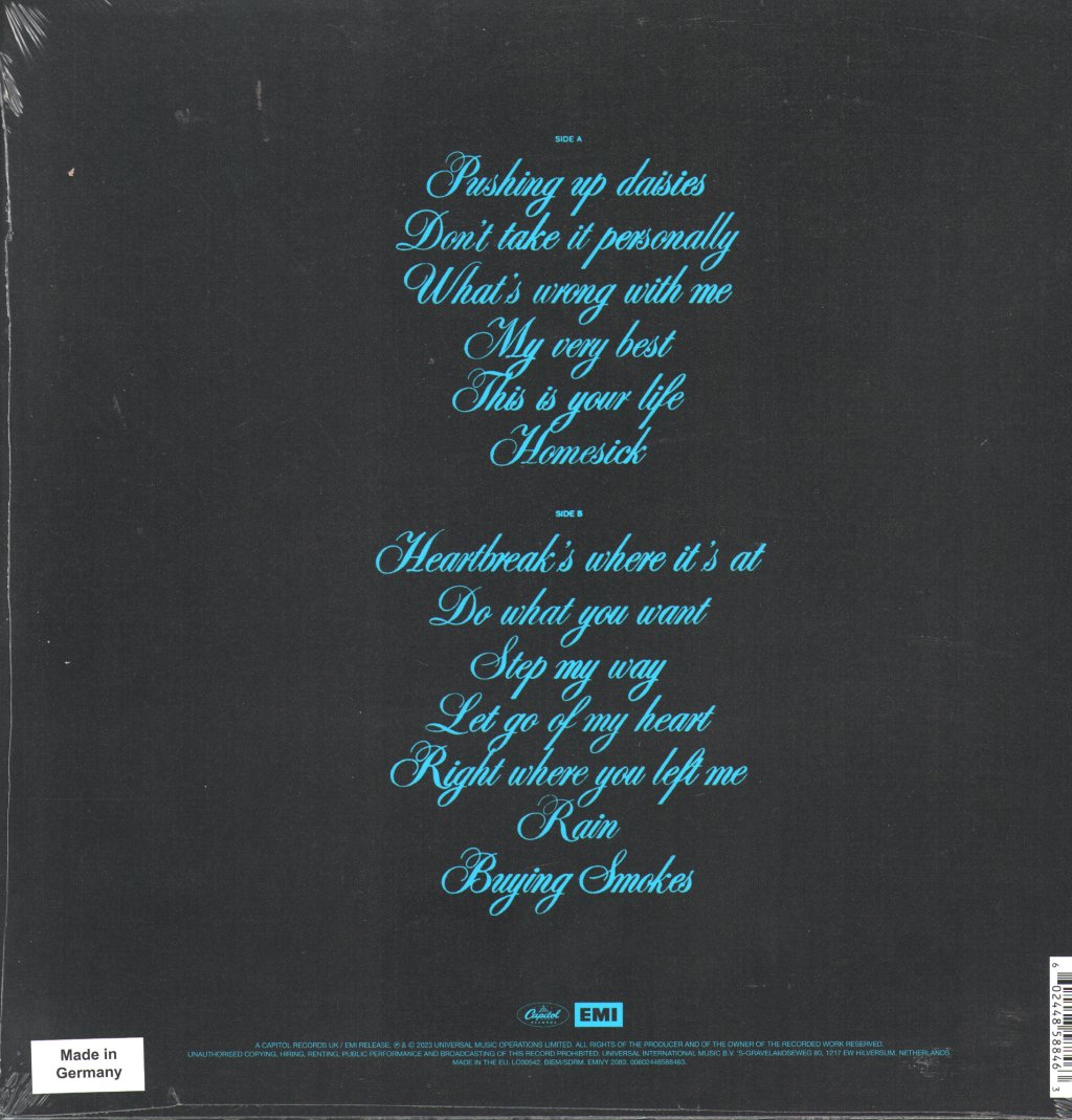 Academic - Sitting Pretty - Lp