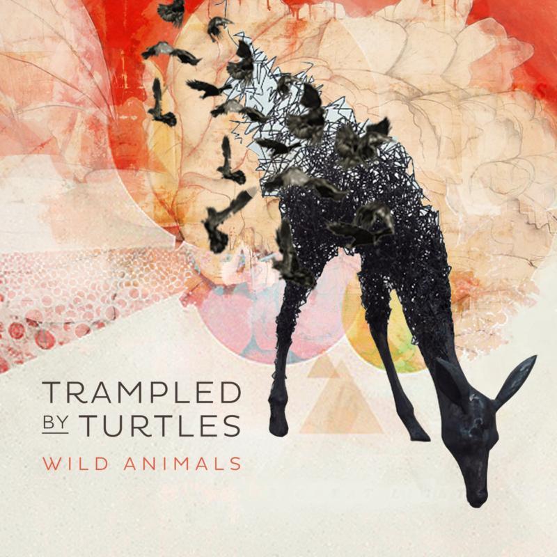 Trampled By Turtles - Wild Animals - Lp