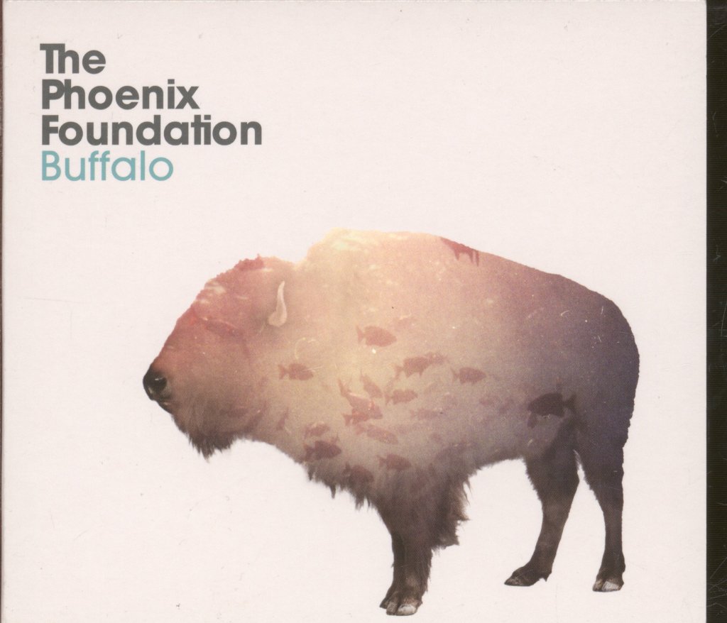 Phoenix Foundation - Buffalo - Cd