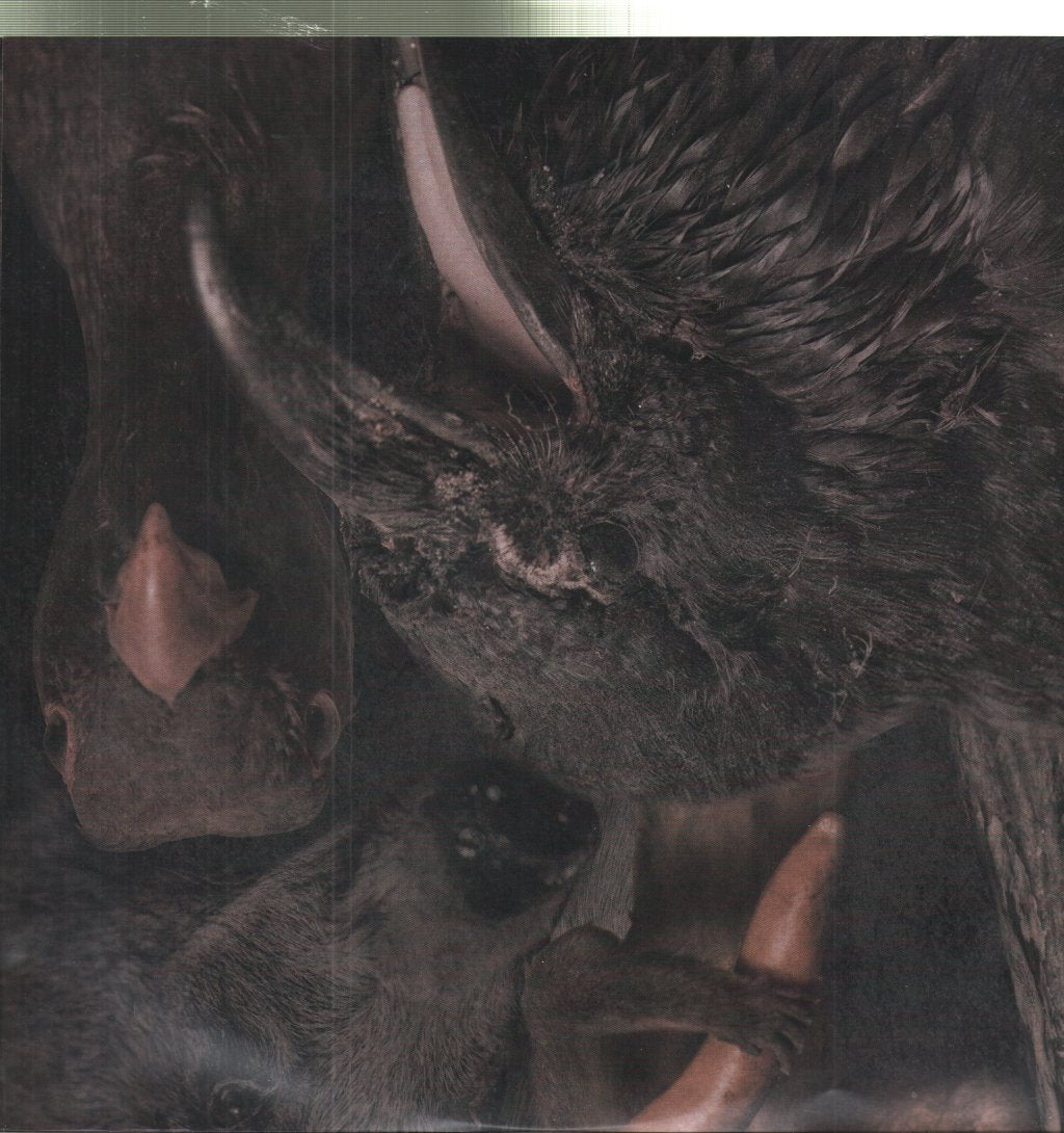 Graveyard - Lights Out - Lp