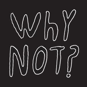 Half Japanese - Why Not? - Lp