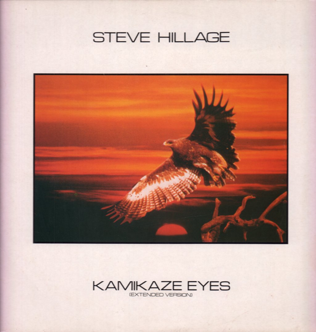 Steve Hillage - Kamikaze Eyes - 12 Inch