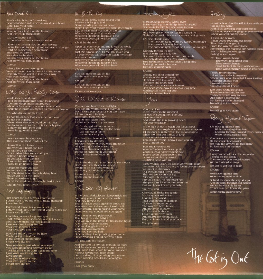 Judie Tzuke - Cat Is Out - Lp