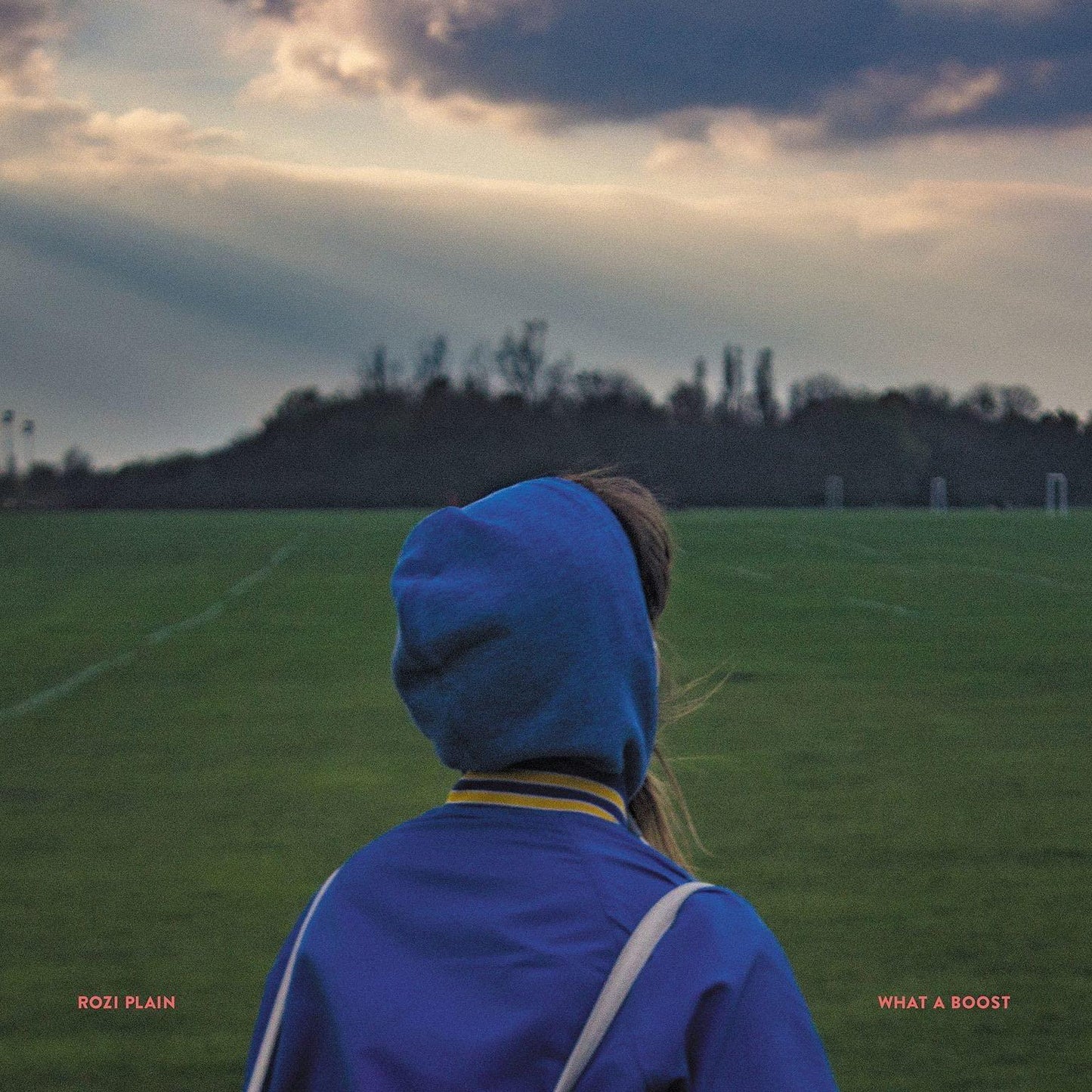 Rozi Plain - What A Boost - Lp