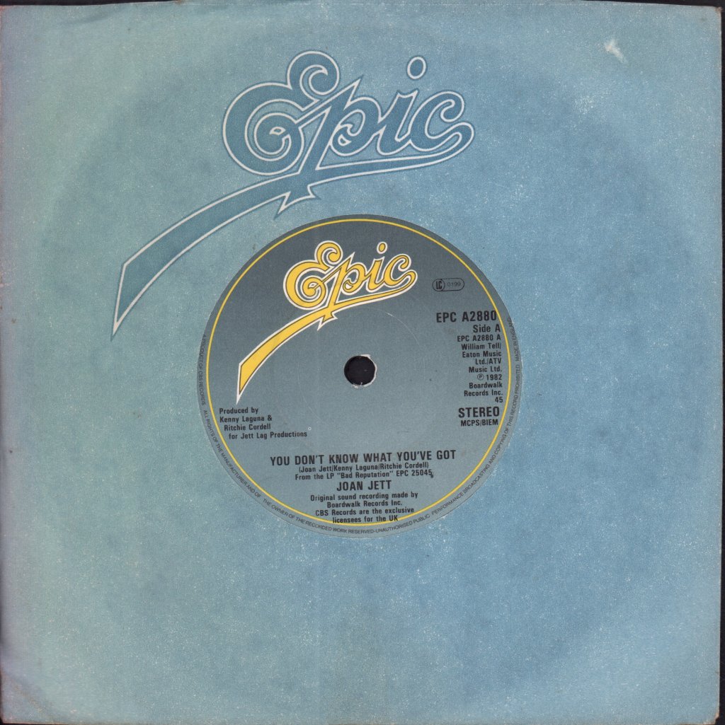 Joan Jett And The Blackhearts - You Don't Know What You've Got - 7 Inch