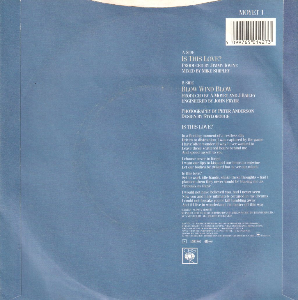 Alison Moyet - Is This Love - 7 Inch