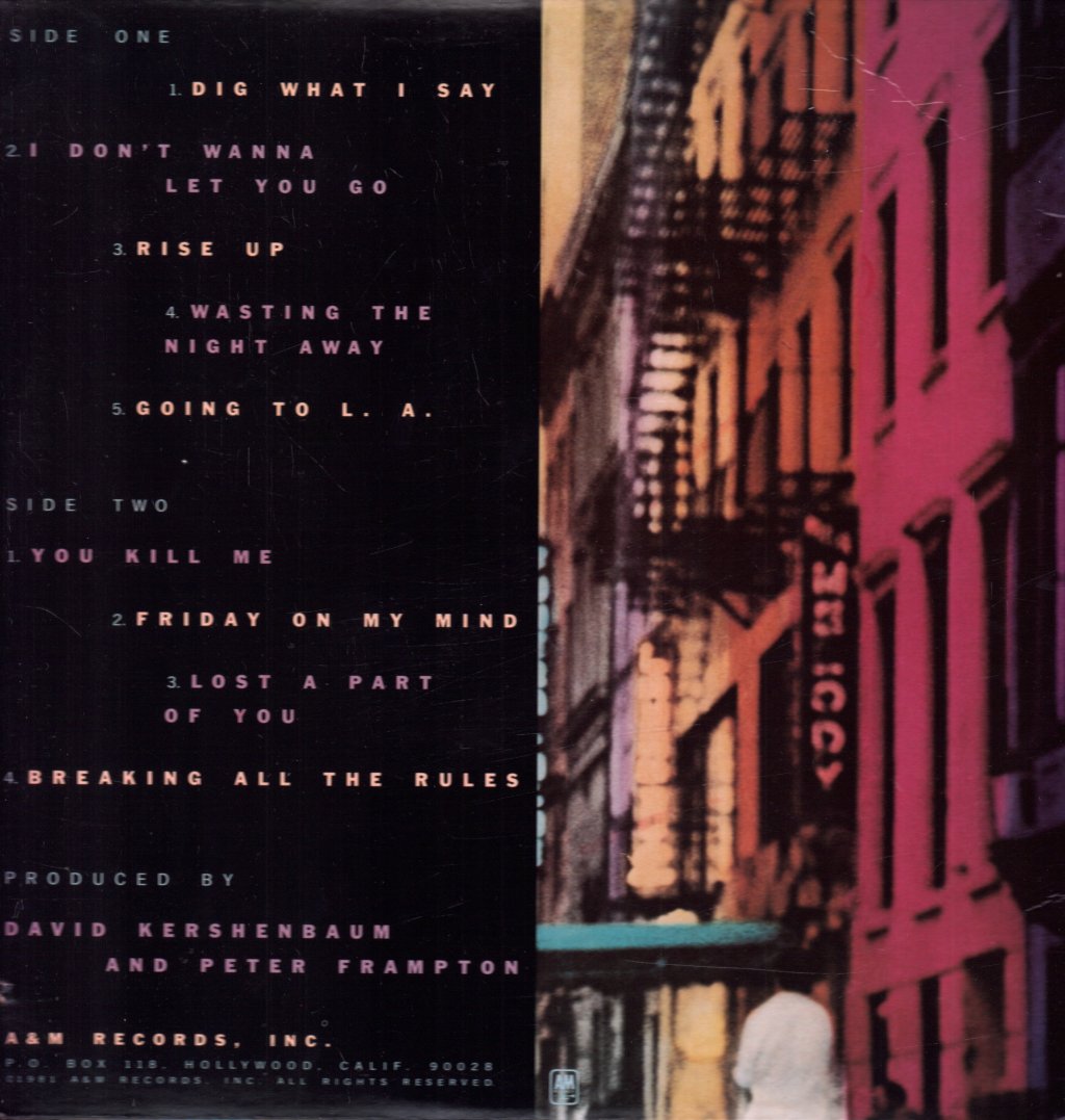 Peter Frampton - Breaking All The Rules - Lp