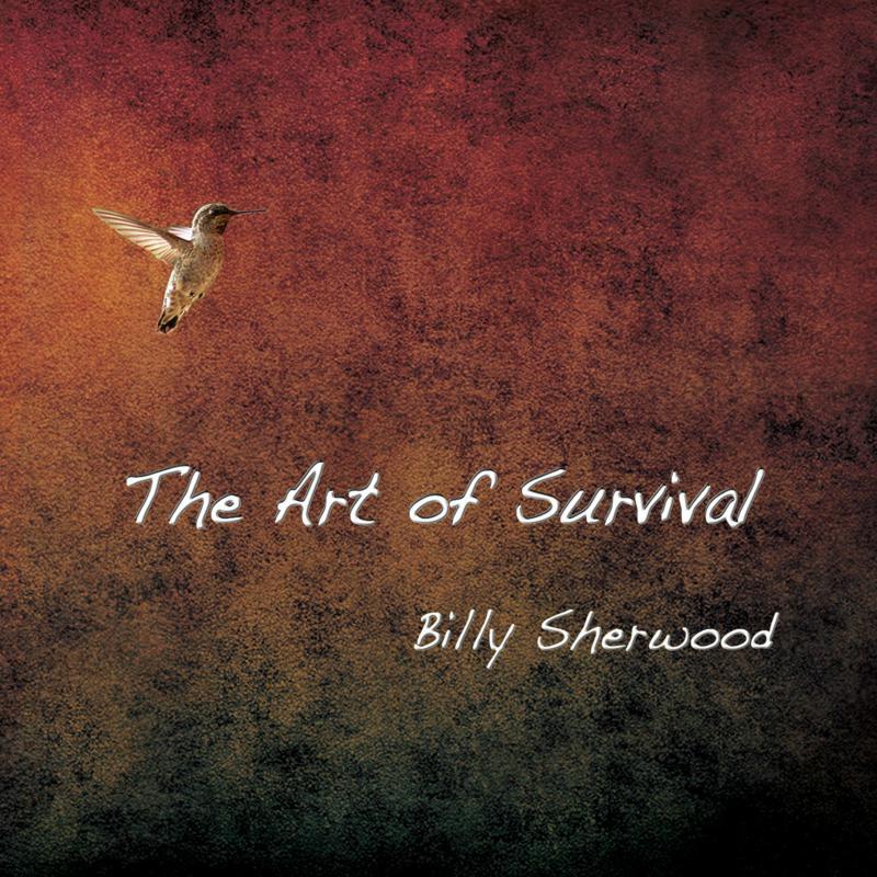 Billy Sherwood - Art of Survival - Cd