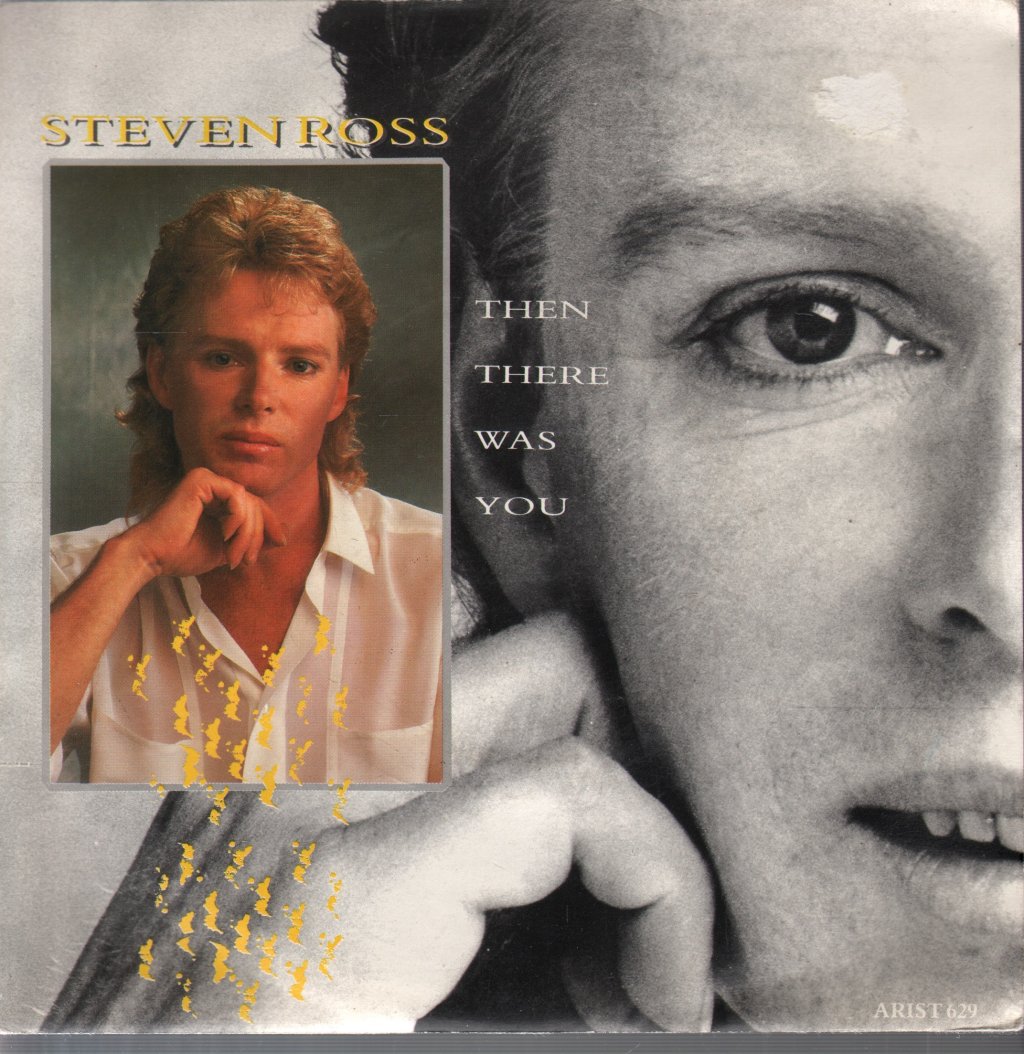 Steven Ross - Then There Was You - 7 Inch