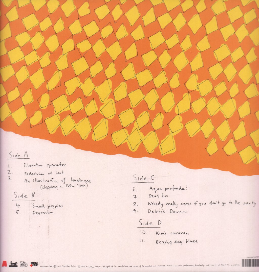 Courtney Barnett - Sometimes I Sit And Think, And Sometimes I Just Sit - Double Lp