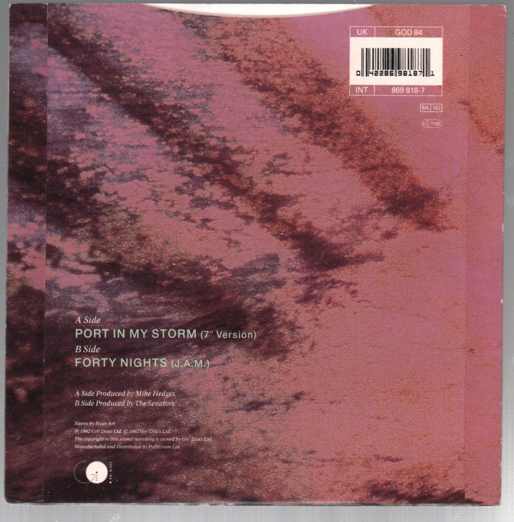 Senators (Pop) - Port In My Storm - 7 Inch