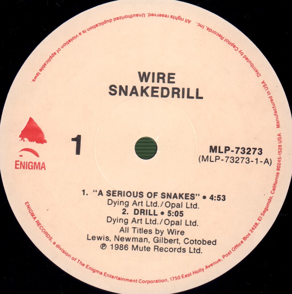 Wire - Snakedrill - 12 Inch