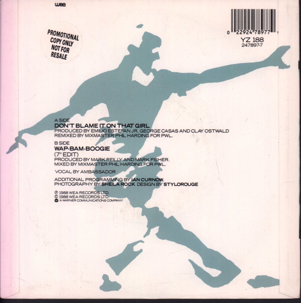 Matt Bianco - Don't Blame It On That Girl - 7 Inch