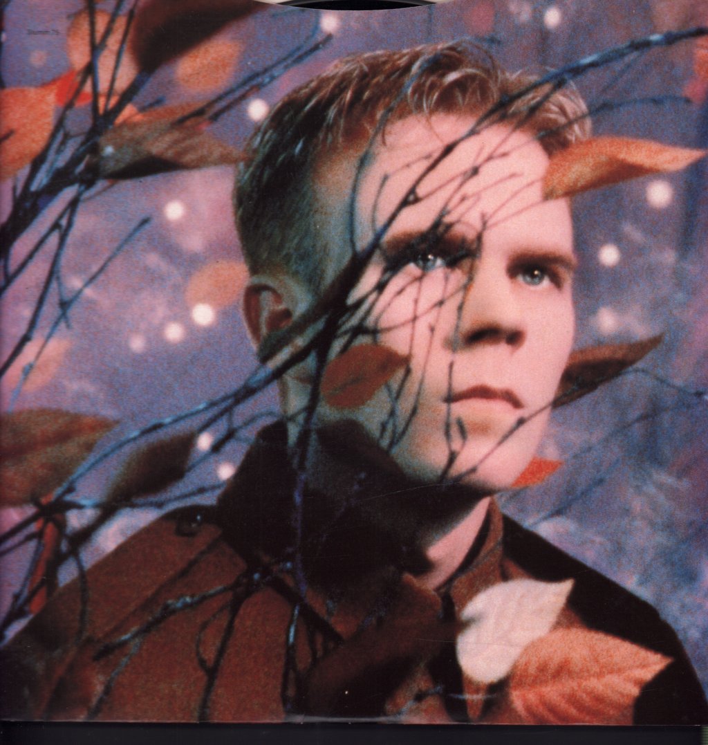 Erasure - Wild - Lp