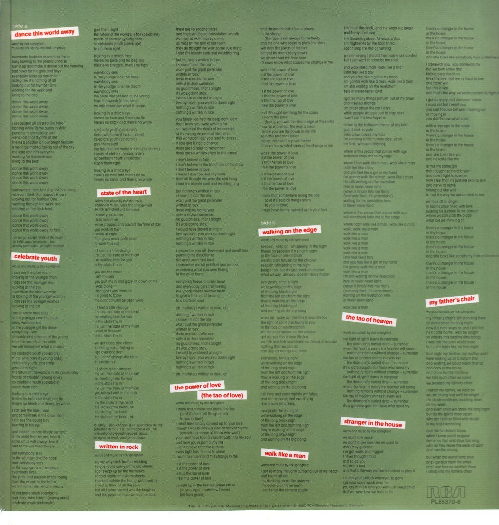 Rick Springfield - Tao - Lp