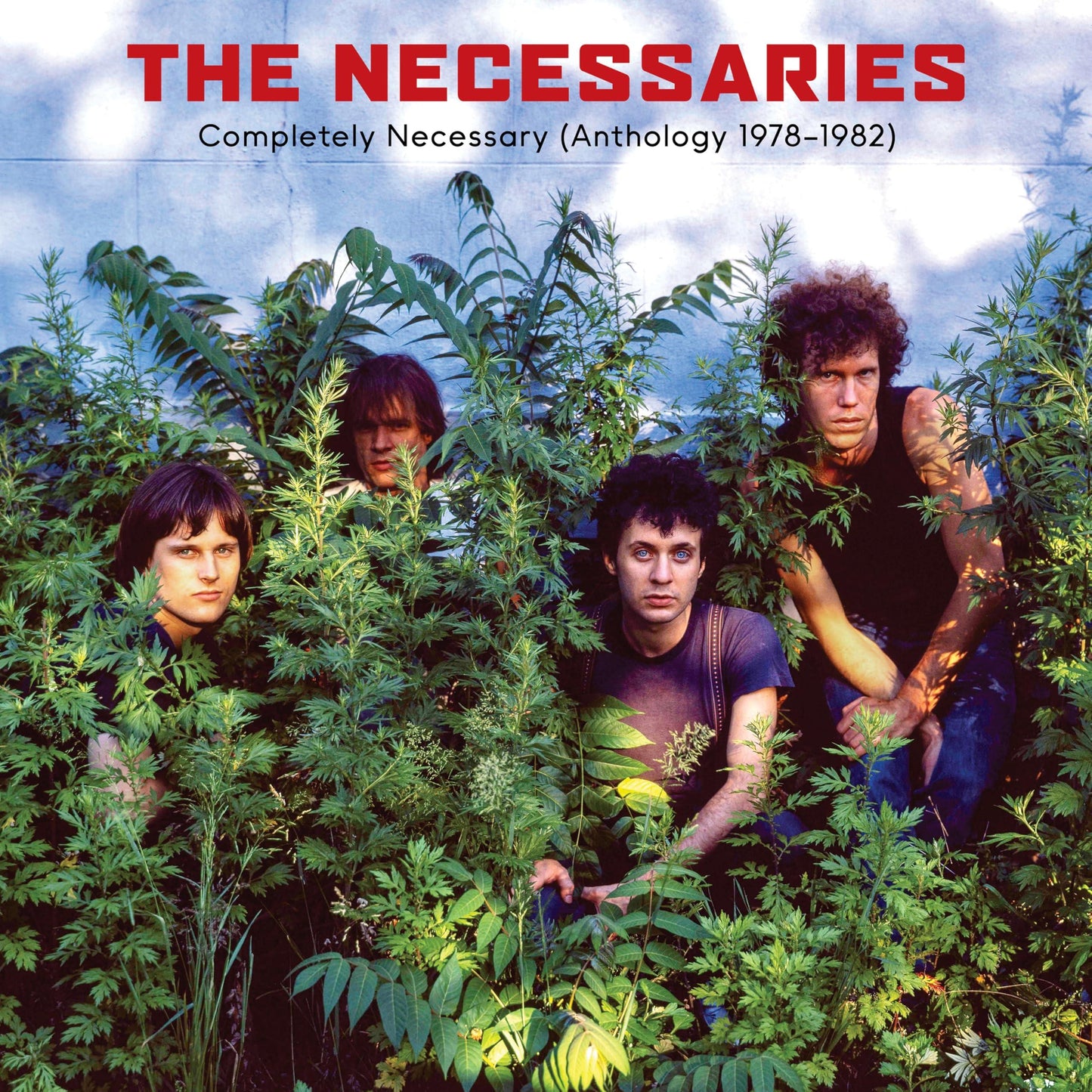 Necessaries - Completely Necessary (Anthology 1978-1982) - Double Cd