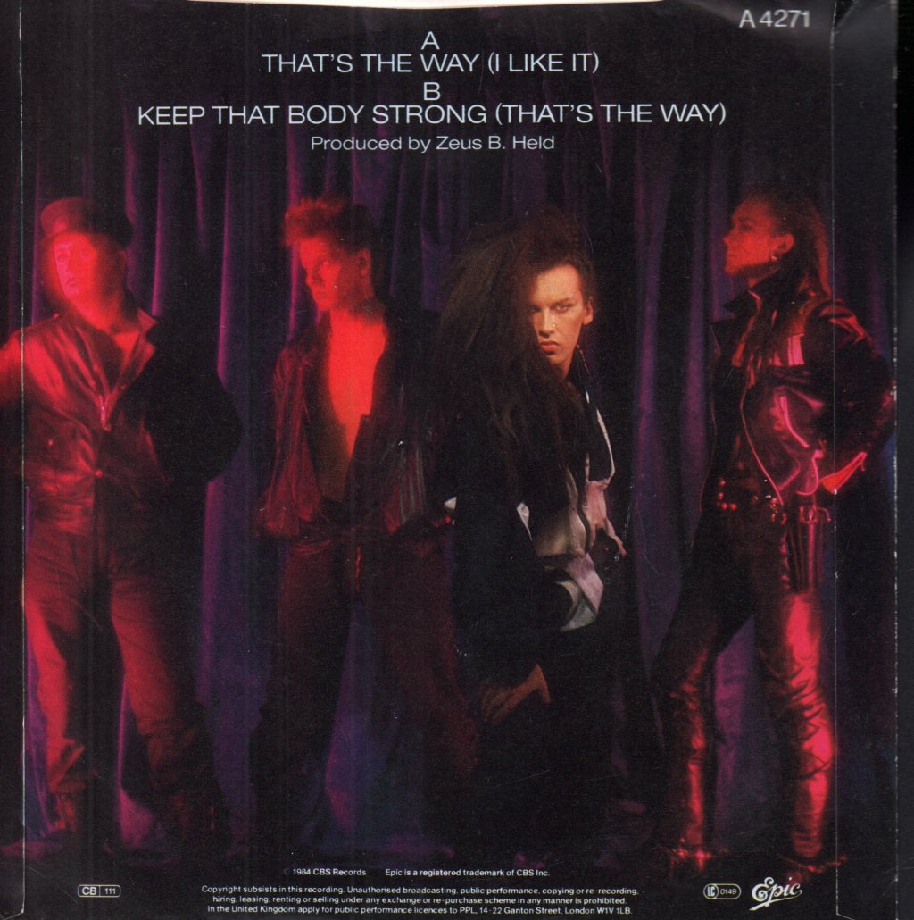 Dead Or Alive - That's The Way - 7 Inch