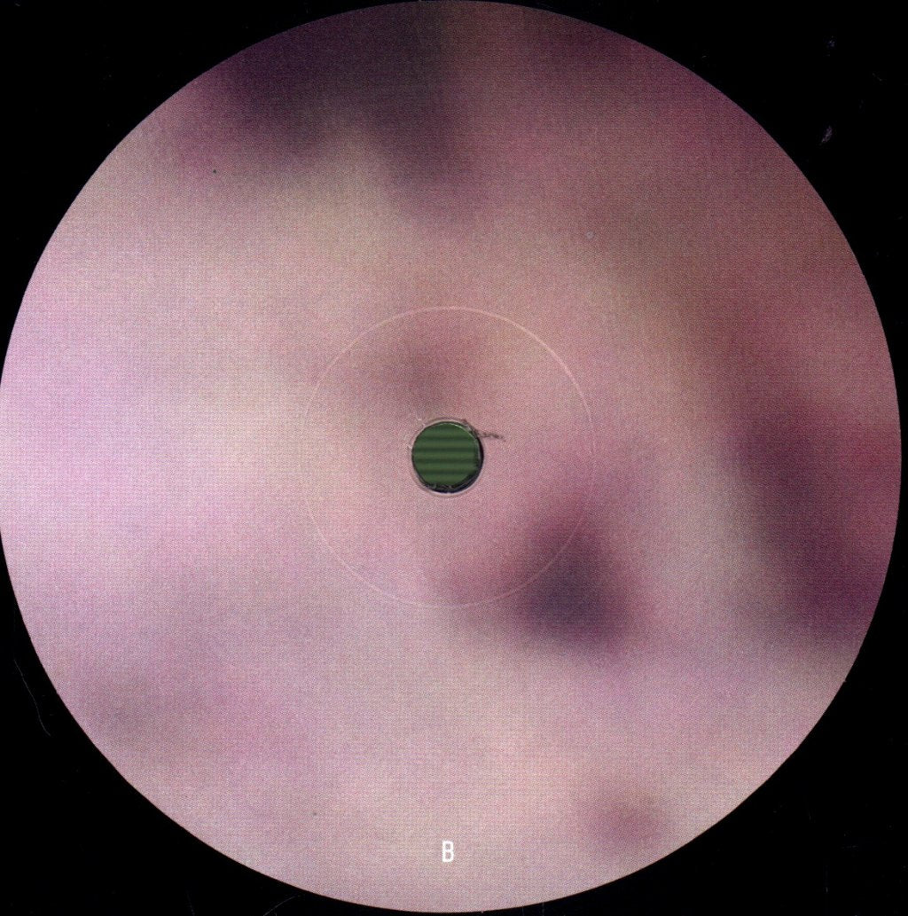 T. Gowdy - Miracles - Lp