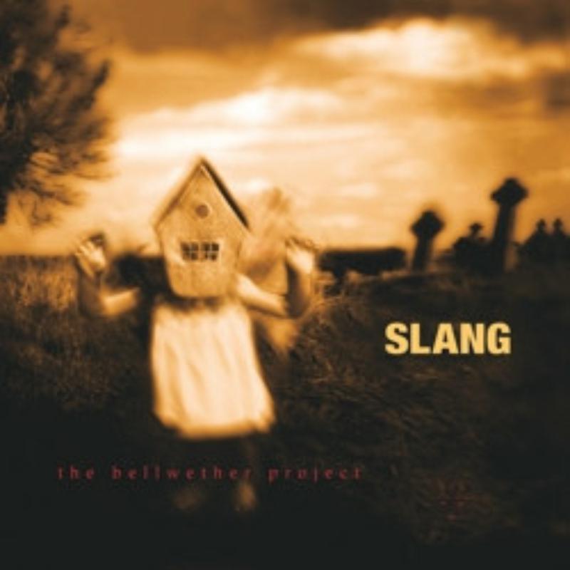 Slang - Bellwether Project - Double Lp