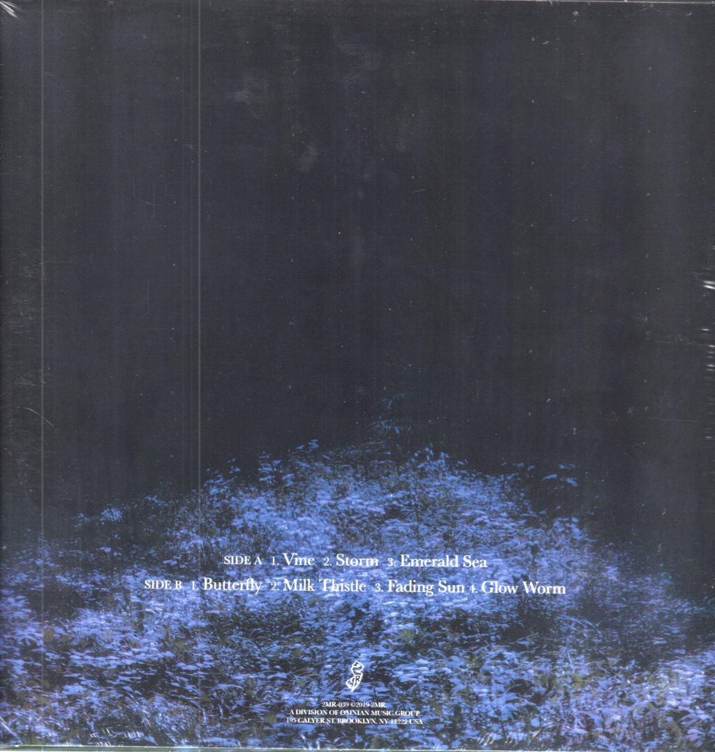 Hans Berg - Sounds of the Forest Forgotten - Lp